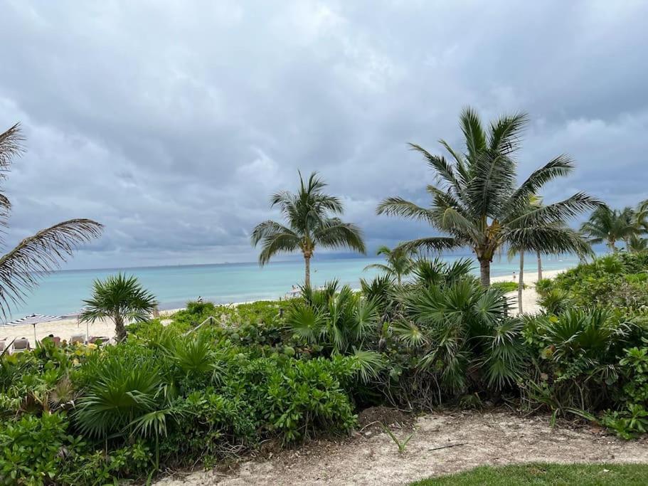 Apartament Brand New And Amazing Penthouse! Playa del Carmen Zewnętrze zdjęcie